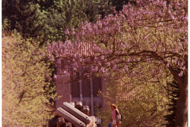 A tree in bloom above a woman walking next to Bassetti's sculpture "Alpha-Beta Cube", with WWU Miller Hall in the background.
